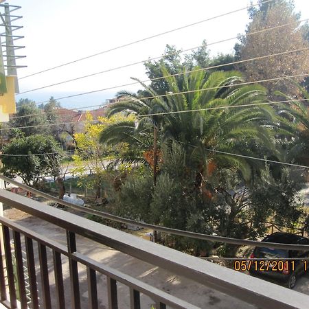 Villa Vasiliki Metamorfosi  Exteriér fotografie